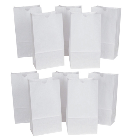 RAINBOW Rainbow Kraft Bag, White, 6in x 3.63in x 11in, PK100, Material: Paper P0072005